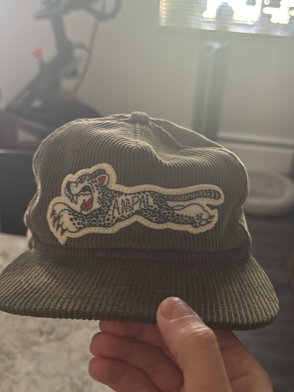 Olive Corduroy Reptile Patch Pet-Themed Cap